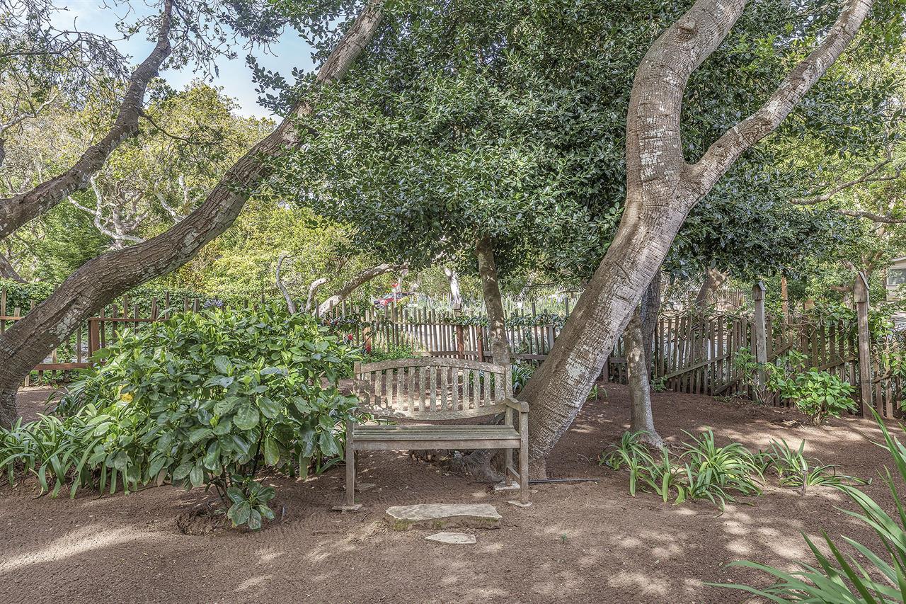 Front Courtyard Area