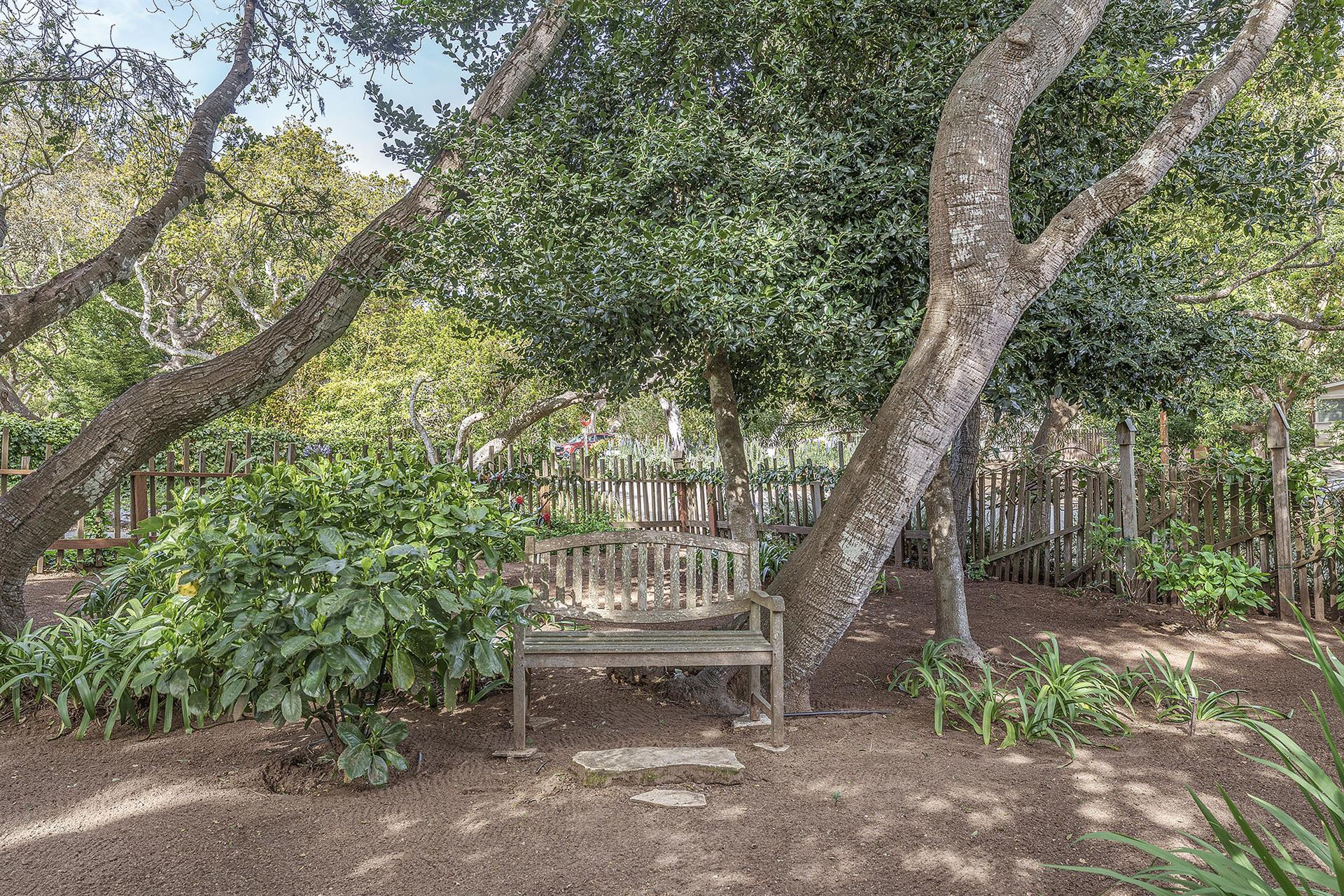 Front Courtyard Area