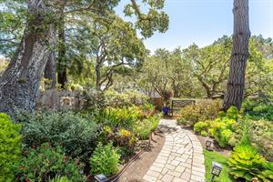 Stunning Gardens in Front of the Home
