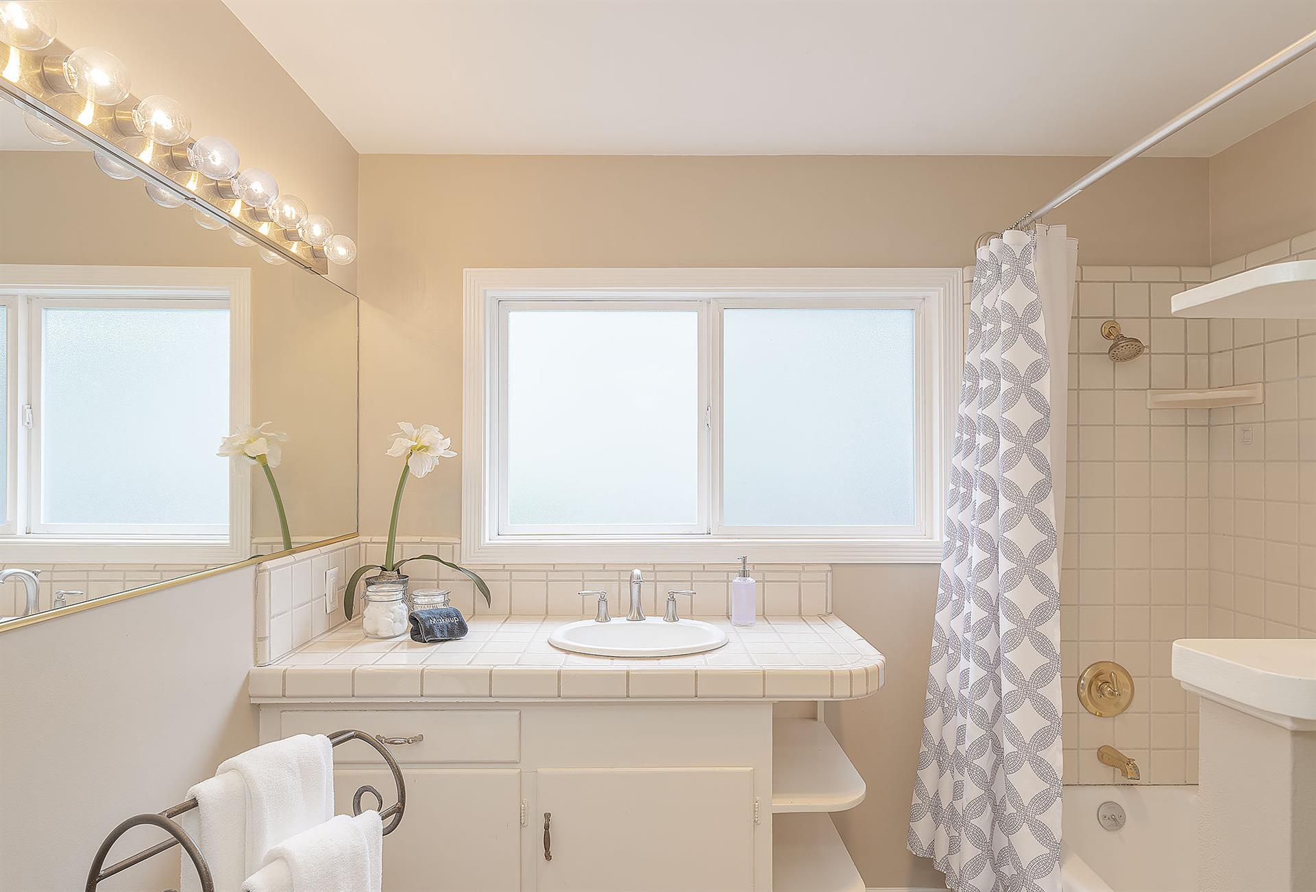 Downstairs Hall Bath, ShowerOverTub