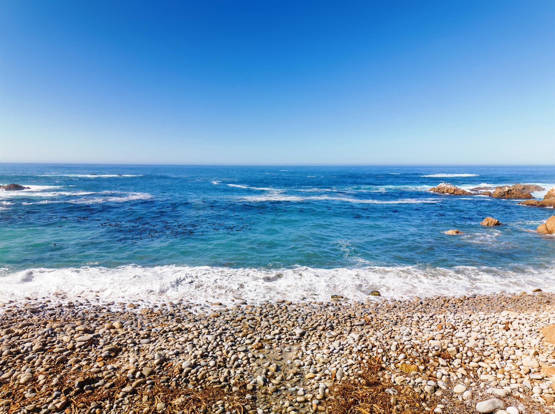 There is Access to the Rocky Beach Below the Backyard
