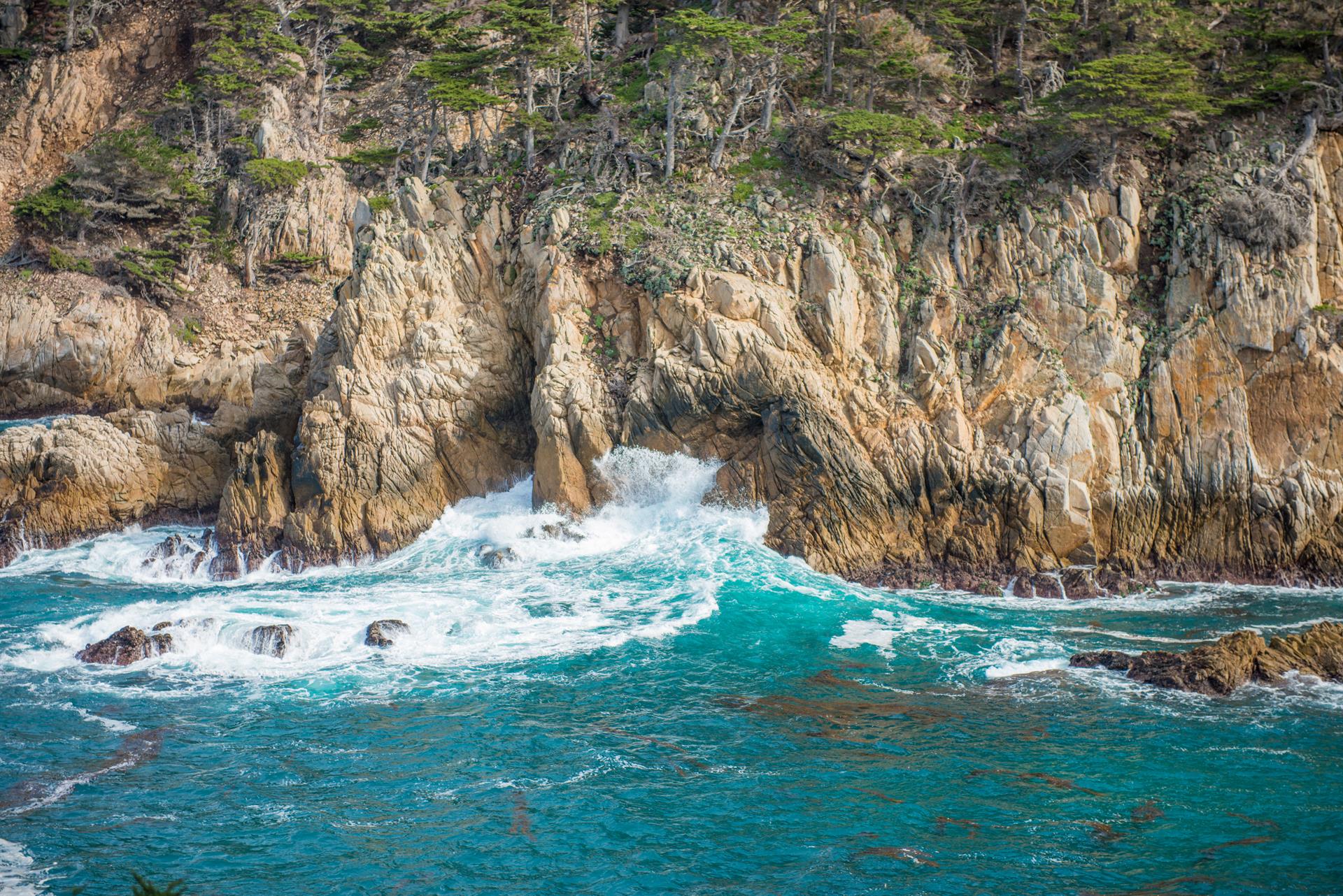 Point Lobos State Park