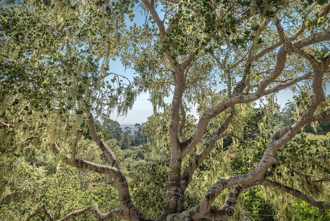 Distant Ocean View from the Deck