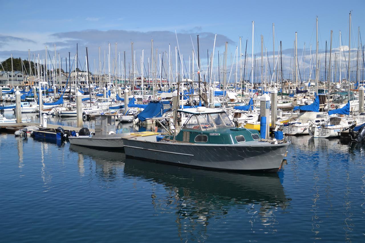 Monterey Harbor