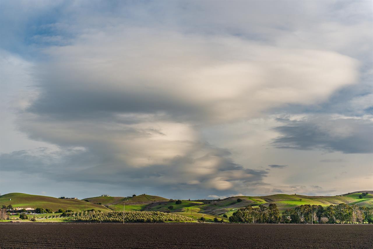 Carmel Valley  Wineries, Horses  Organic Farms
