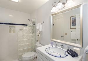 Full Bathroom has a StepIn Shower