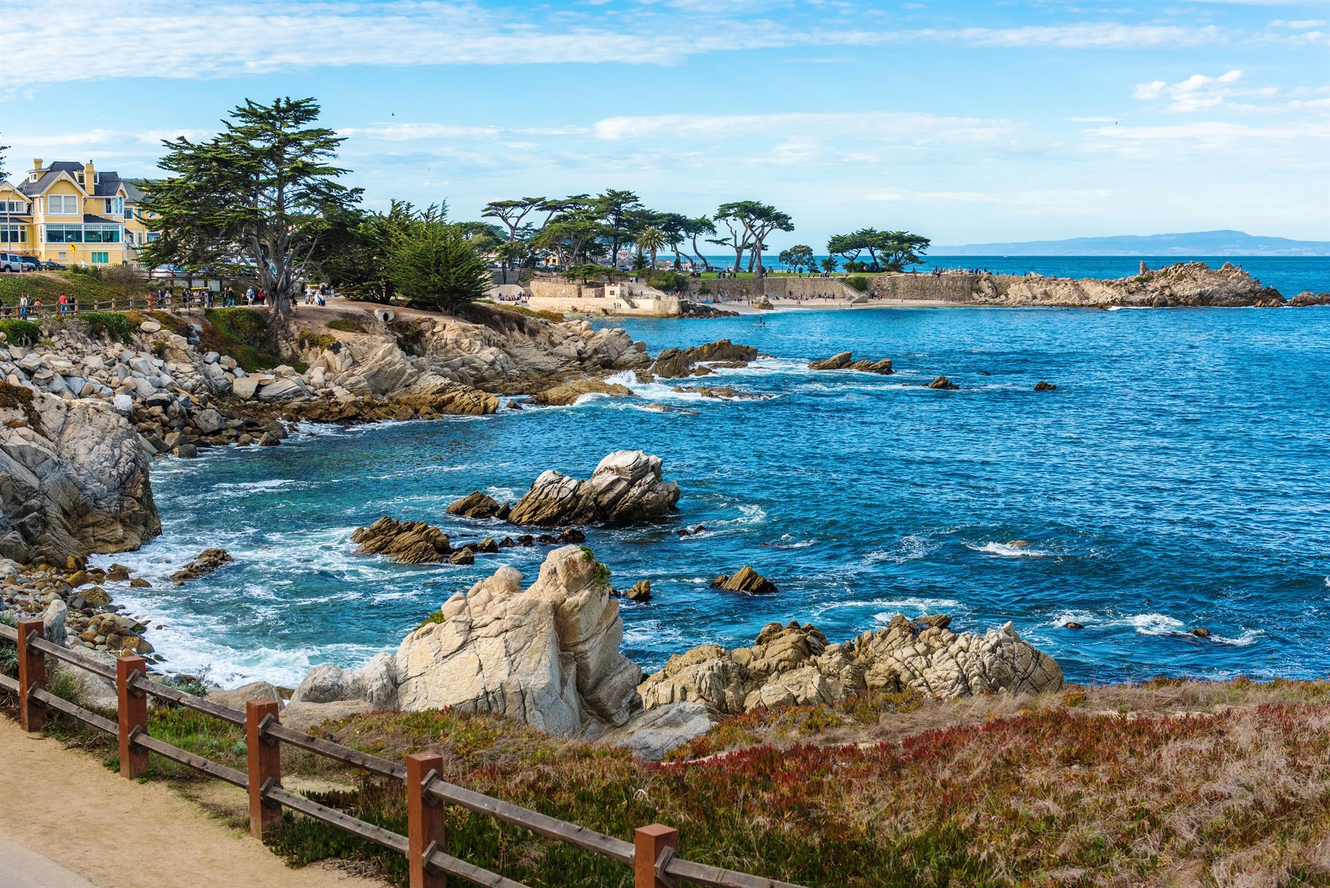 Along the Recreation Trail in Pacific Grove