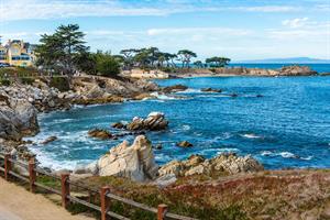Along the Recreation Trail in Pacific Grove