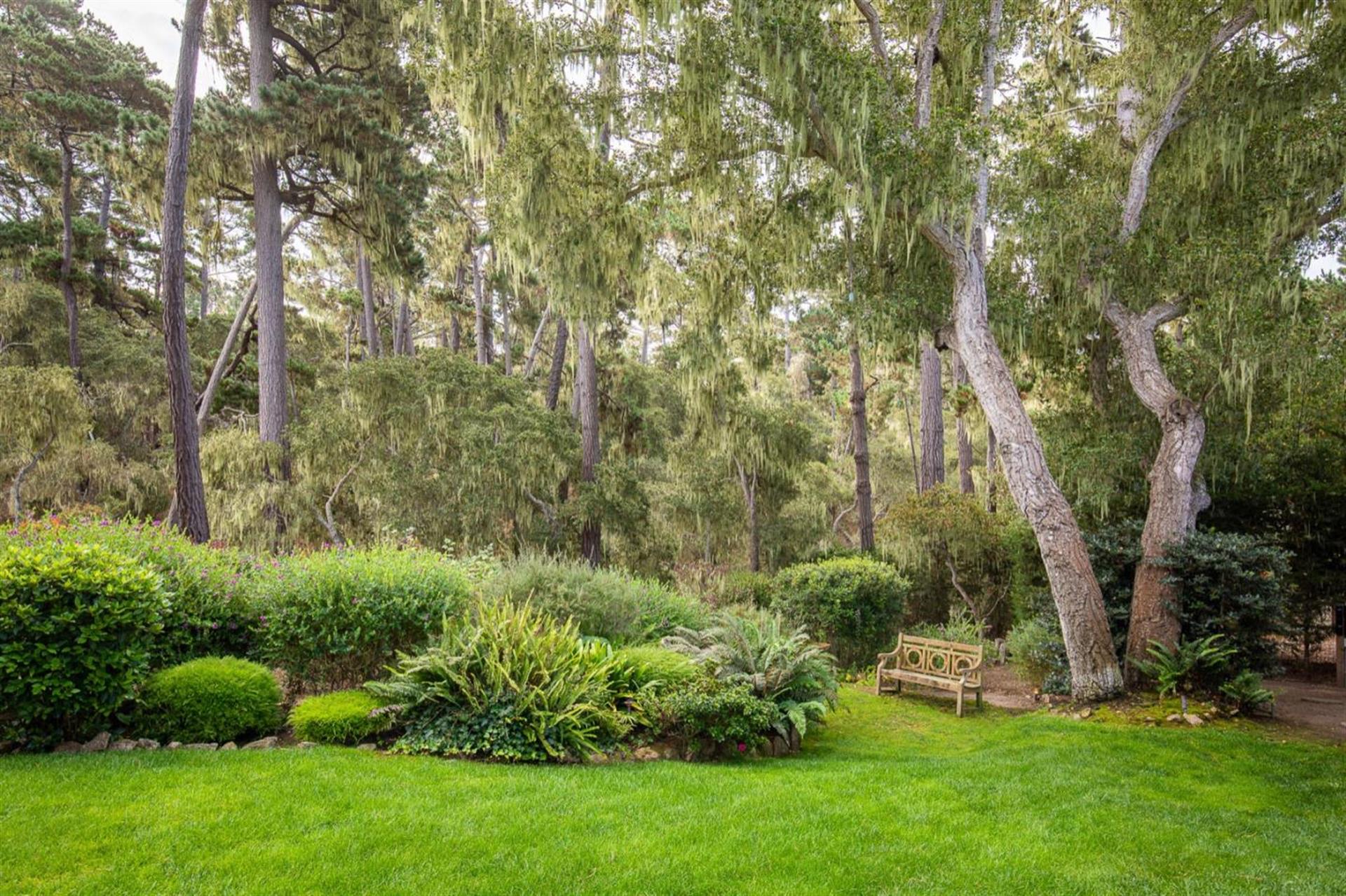 Back Yard has Beautiful Landscaping