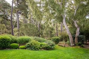 Back Yard has Beautiful Landscaping