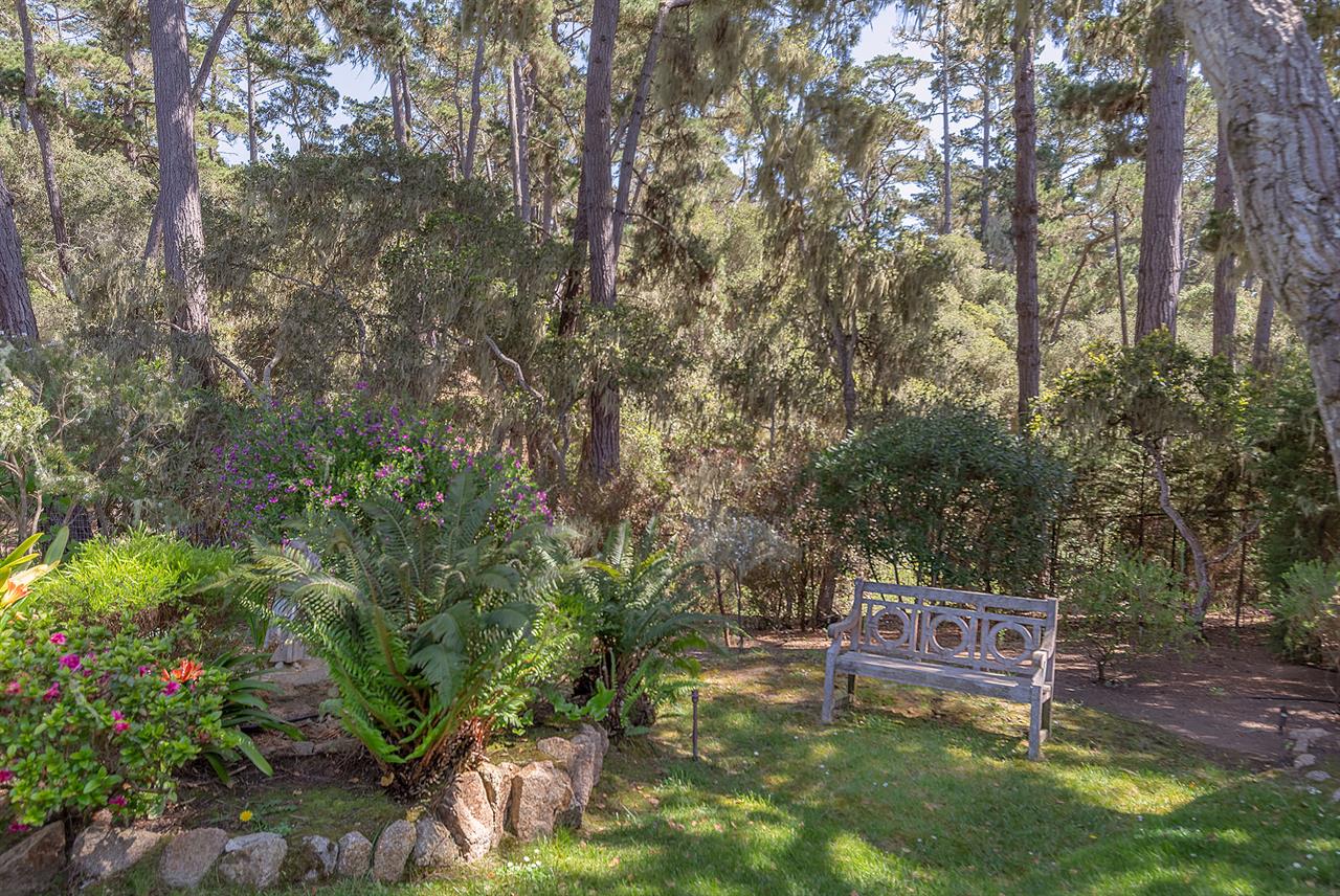 Back Yard has Beautiful Landscaping