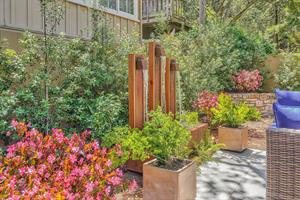 Backyard Water Feature