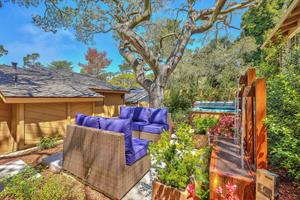 Back Yard with Water Feature