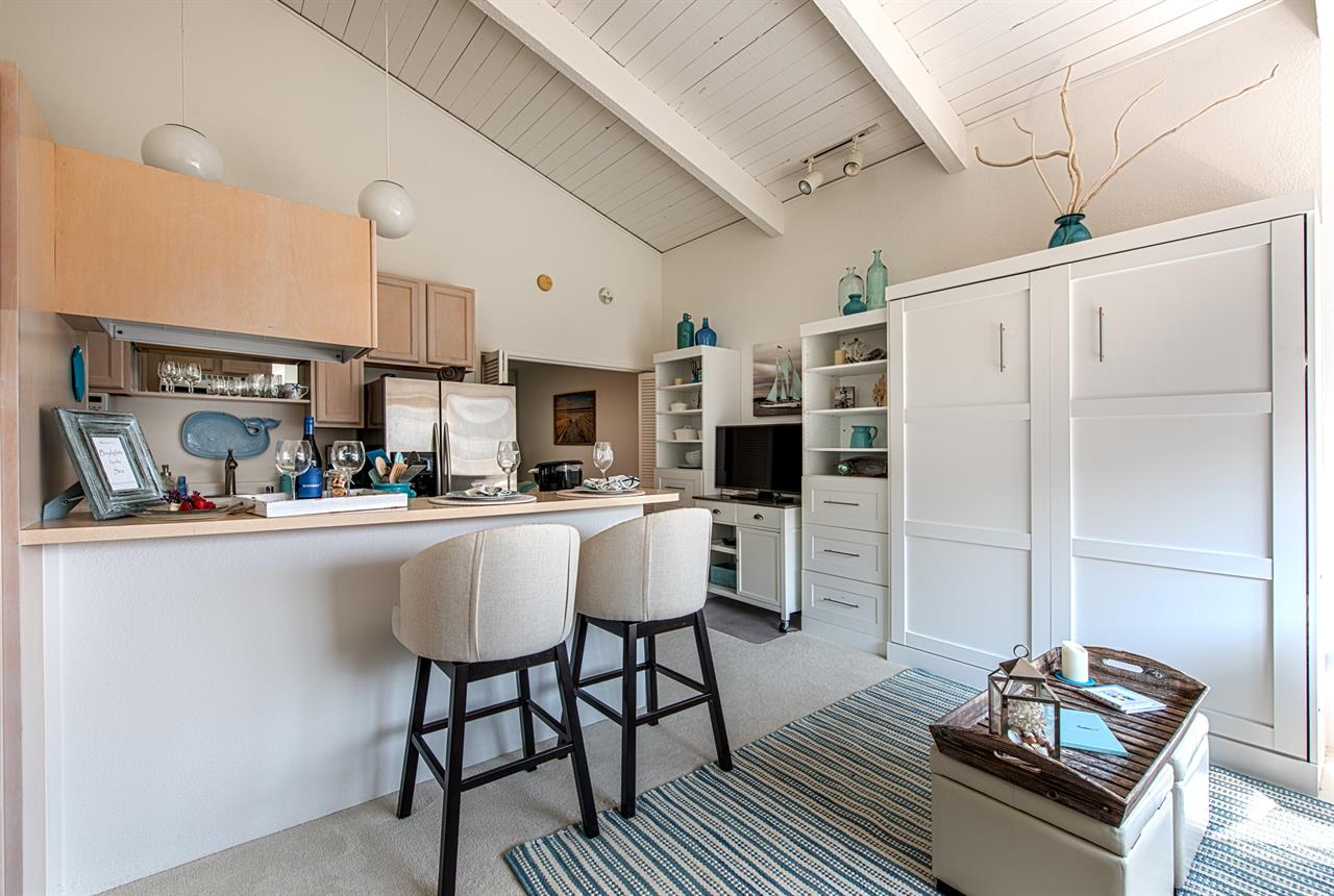 View of the Kitchen and the Murphy Bed