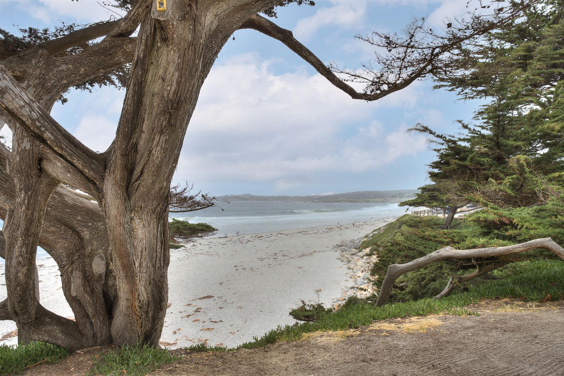 Carmel Beach