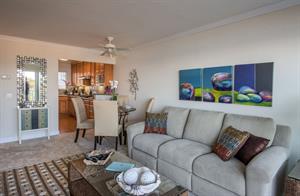 Comfortable BeachThemed Furnishings