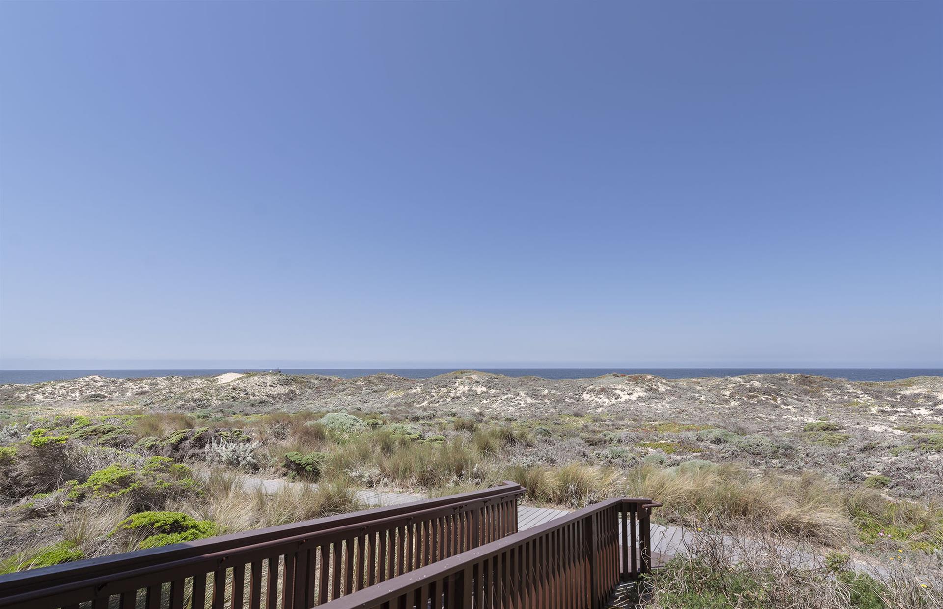 Oceanfront Ocean View