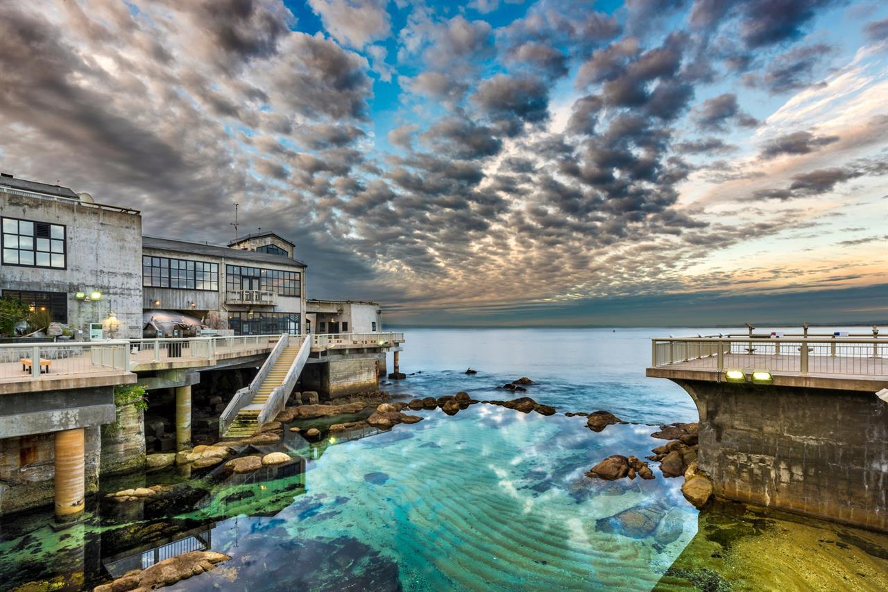 Monterey Bay Aquarium in Monterey