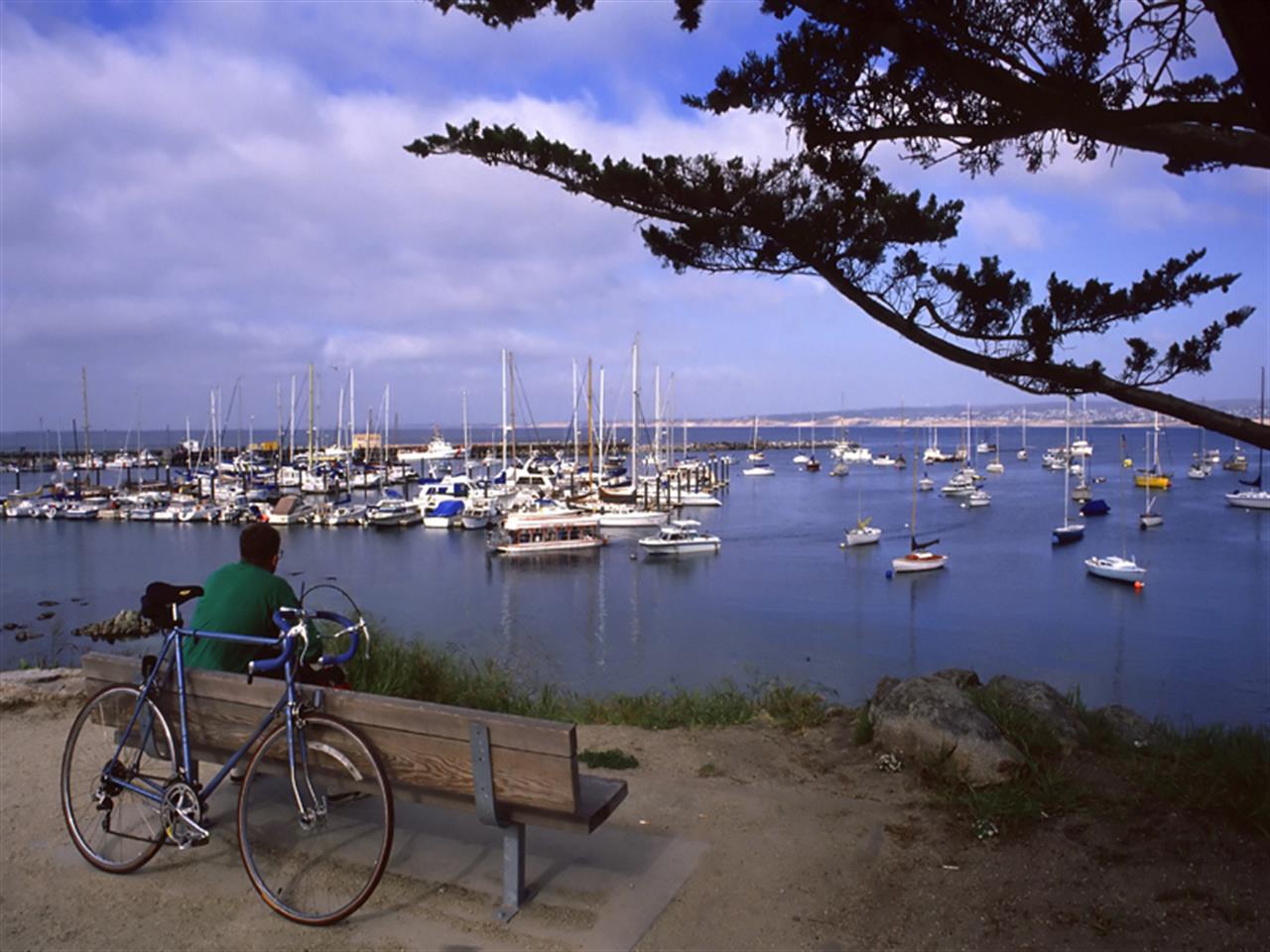 Monterey Harbor