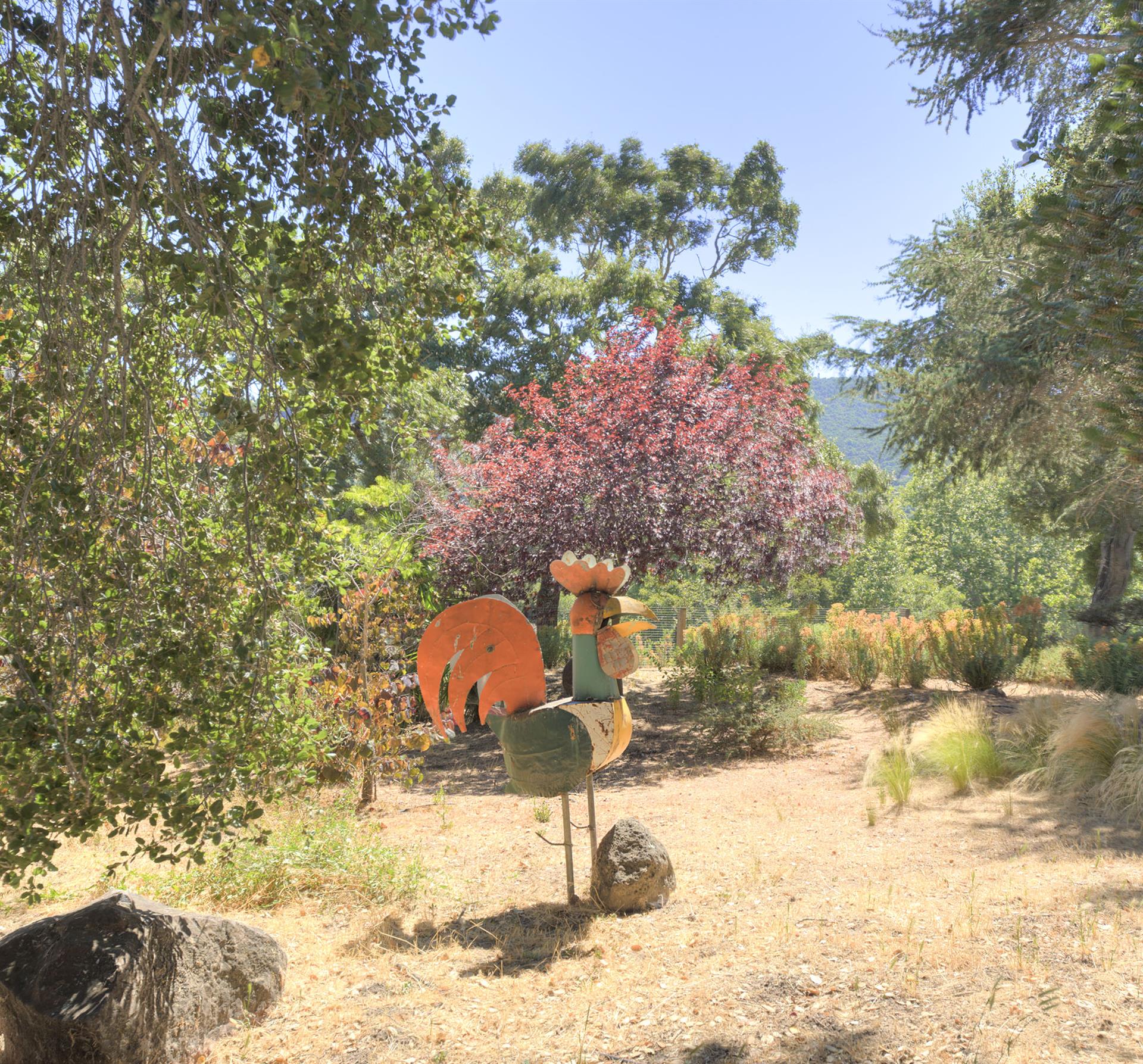 Wander and Enjoy the Full Acre of this Property