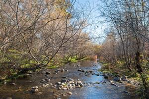 Carmel River