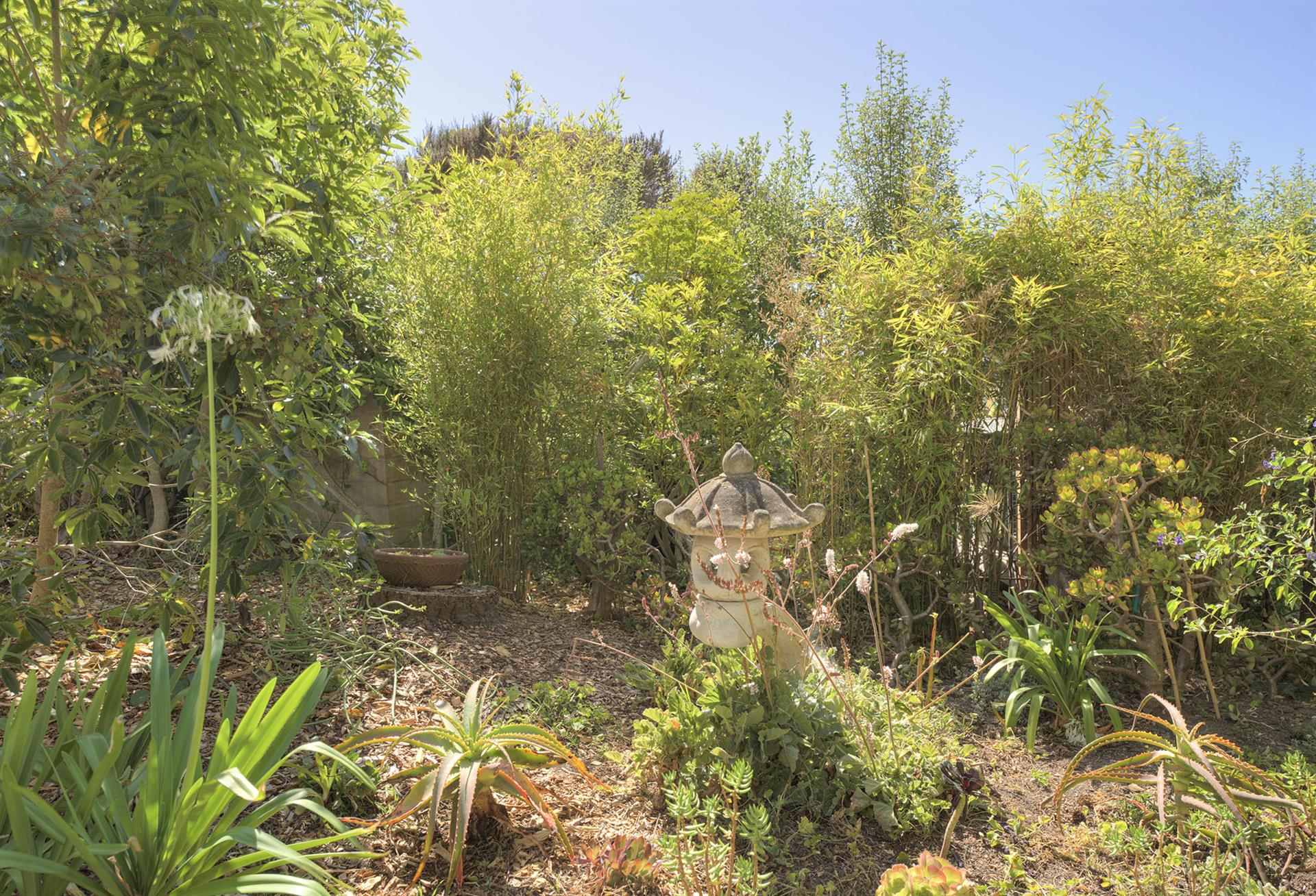 Serene Backyard