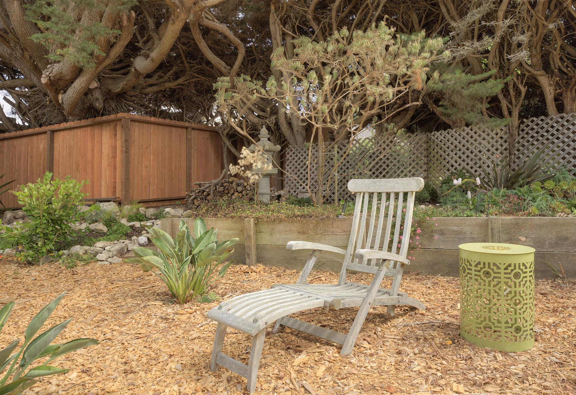 Serene Backyard