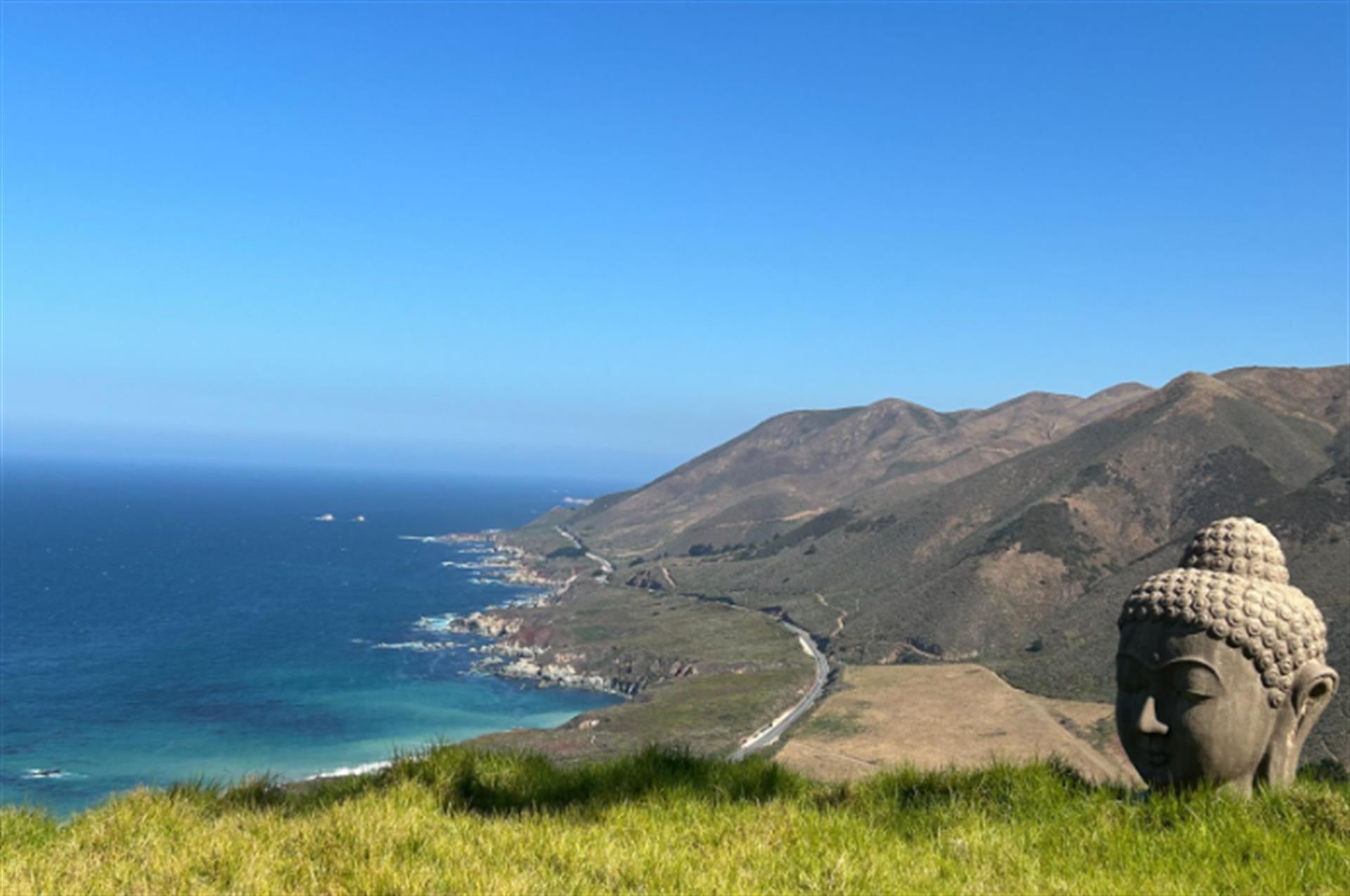View from the Property