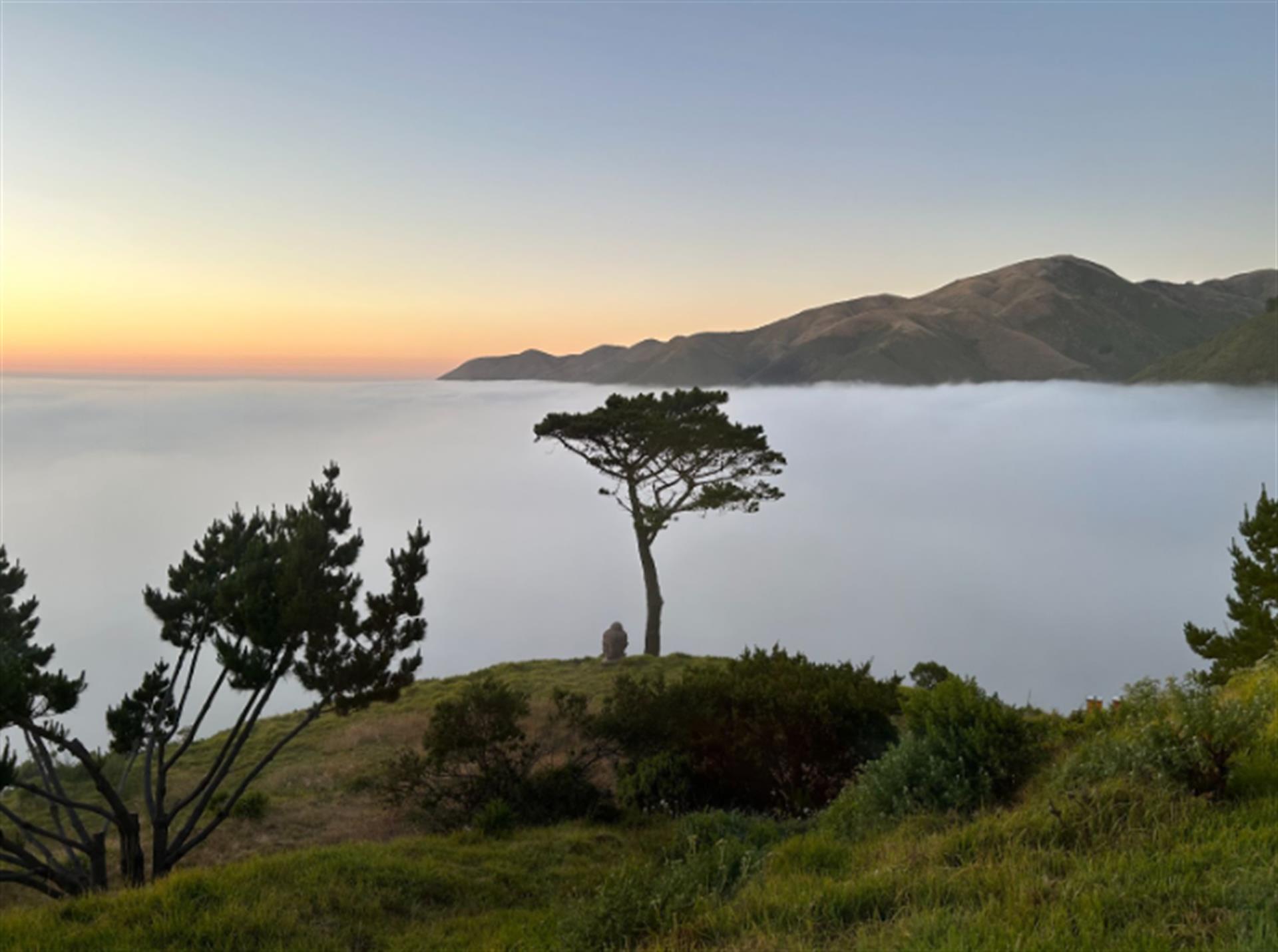 Early Morning Fog Over the Pacific