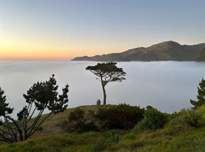 Early Morning Fog Over the Pacific