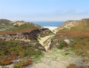 4367 Fort_ord_dunes S