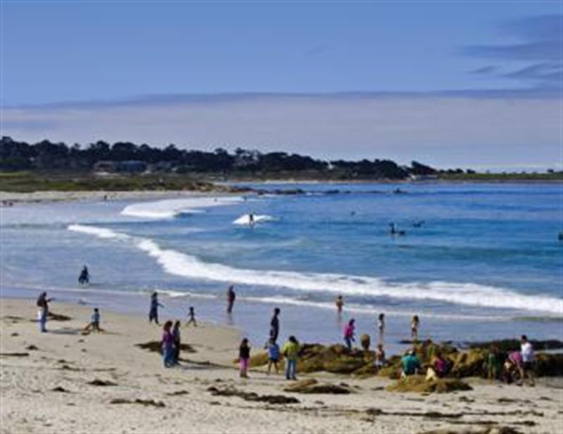 4368 Asilomar_beach M