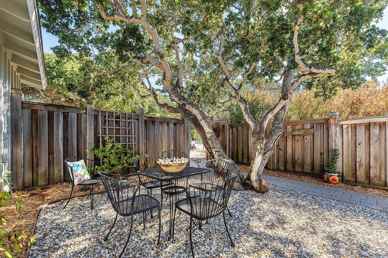 Enclosed Front Courtyard Garden