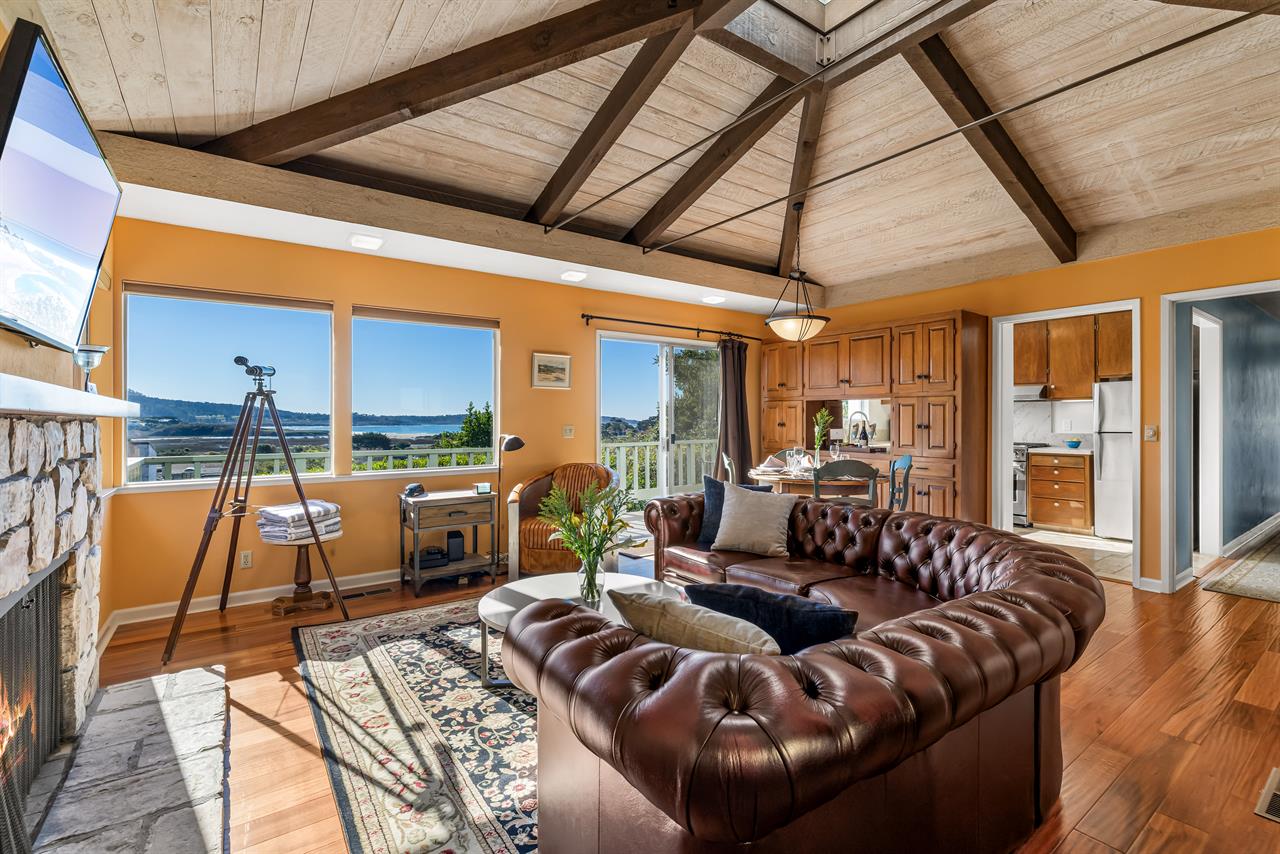 Welcome to Hedgehog Living Room, Ocean View