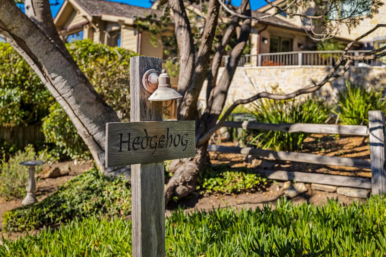 Exterior of Home, Charming Hedgehog Sign