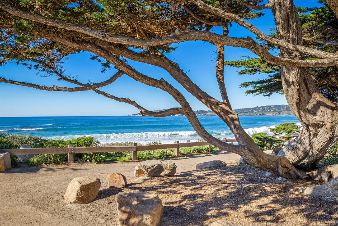 Walk Along the Trail to Nearby Beaches