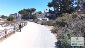 The BayFront Recreation Trail for Walking and Cycling