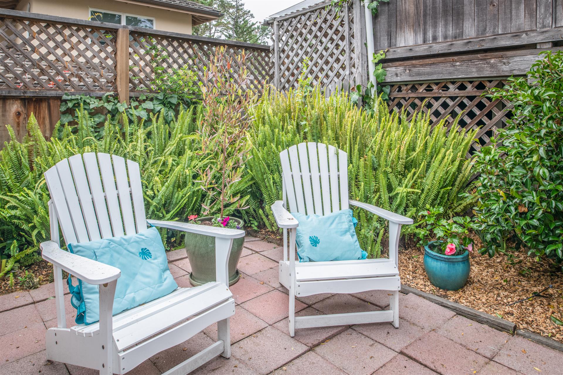 Relaxing Backyard