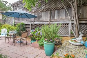 Charming Backyard