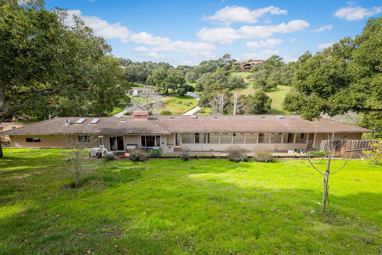 The Backyard is Huge and Includes Several Fruit Trees
