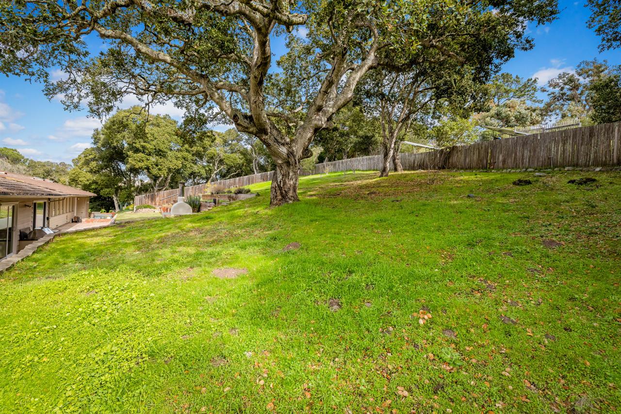 The Spacious Backyard has Beautiful Oak Trees