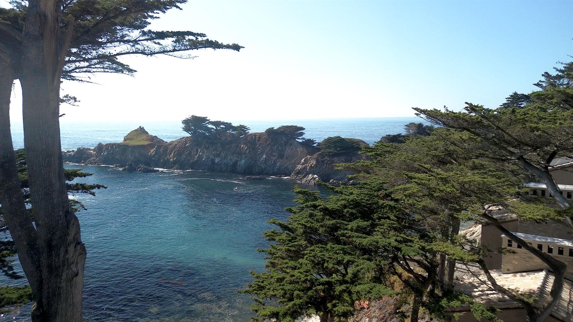 Serene View of a Nearby Cove
