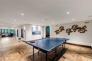 Ping Pong Anyone