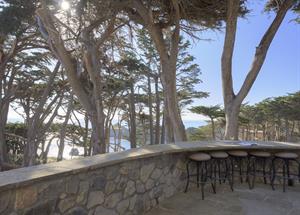 Serene Ocean Views of the Cove Below