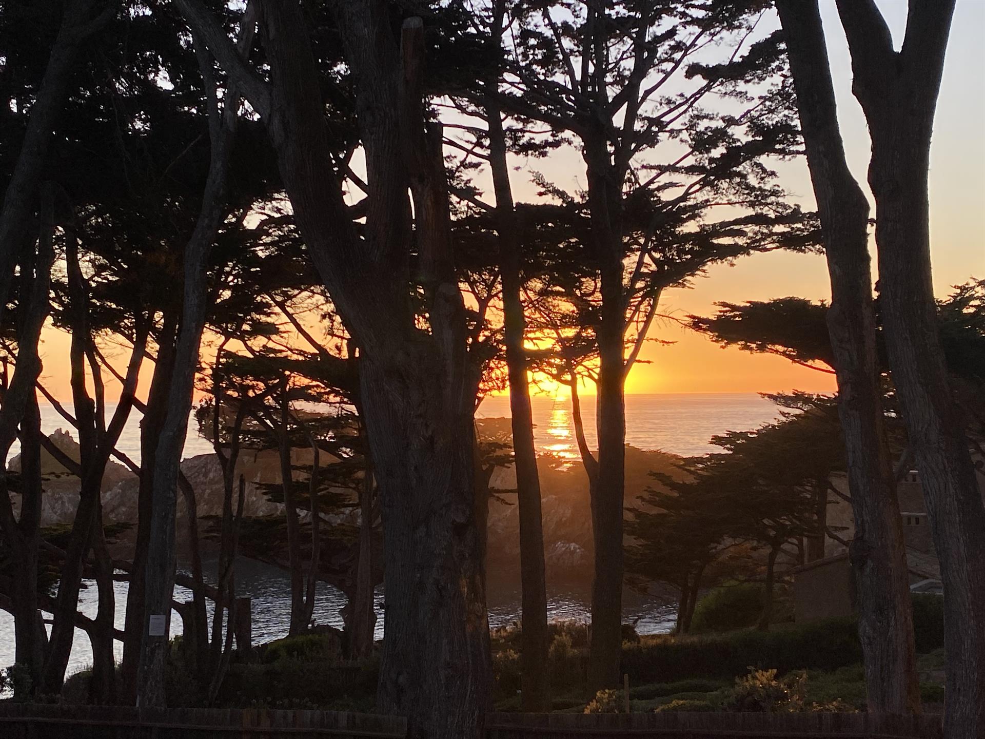 Enjoy Stunning Sunsets Every Evening