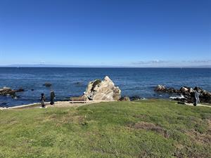 The Beachfront Area in Front of the Home