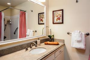 Guest Bath with a Shower  Bathtub Combo