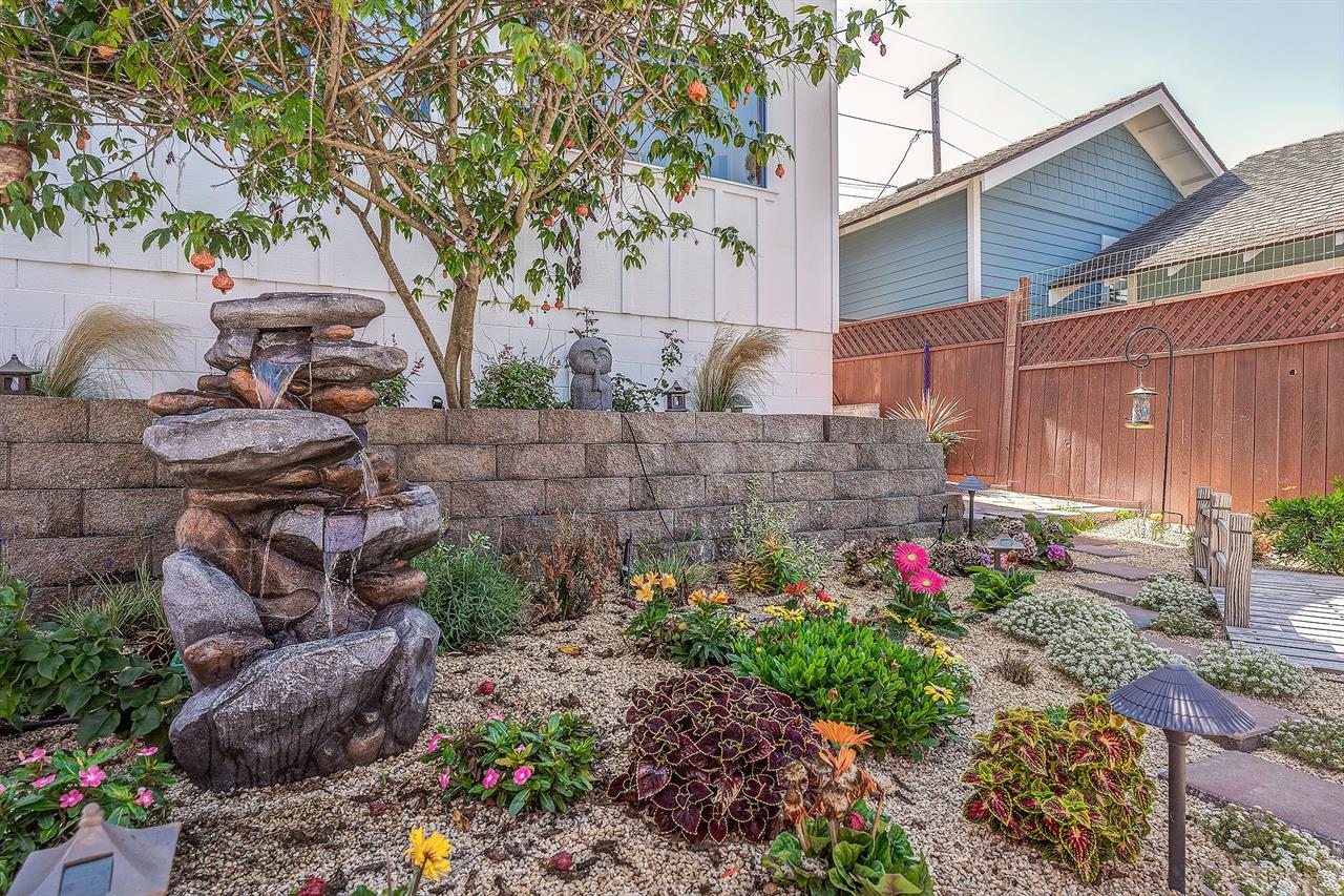 Backyard Water Feature