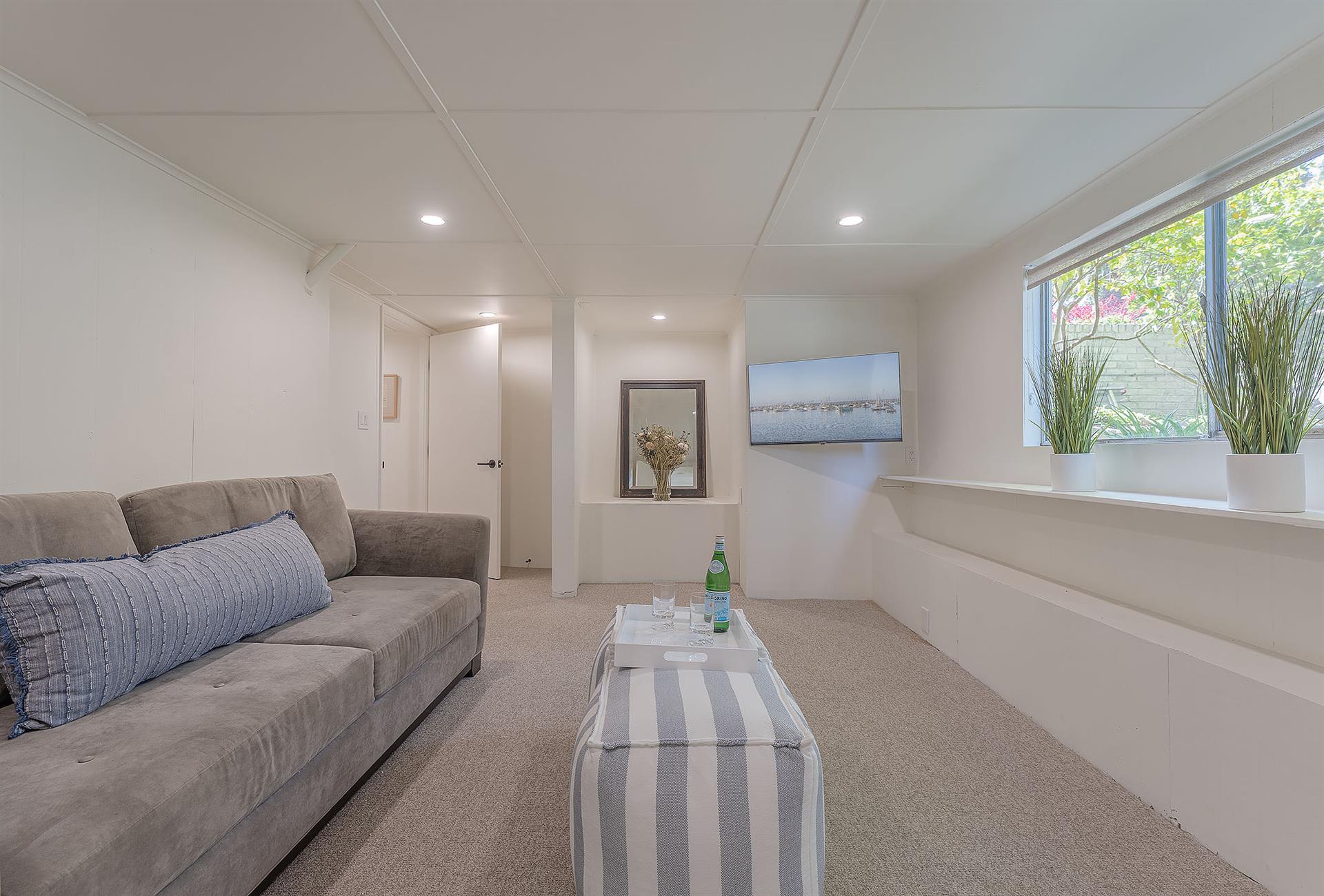 Downstairs TV Room