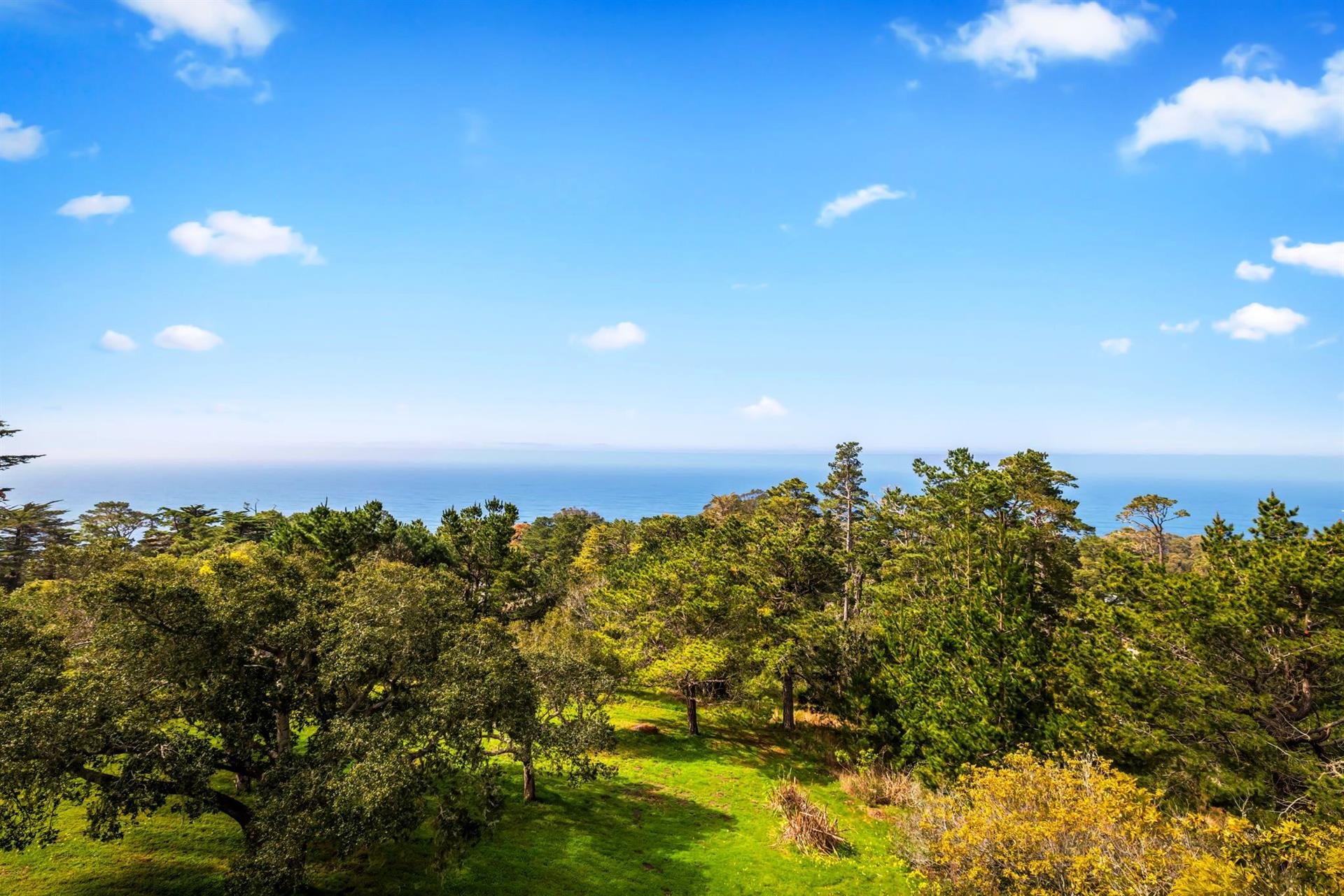 Stunning Backyard and Ocean Views from the Home